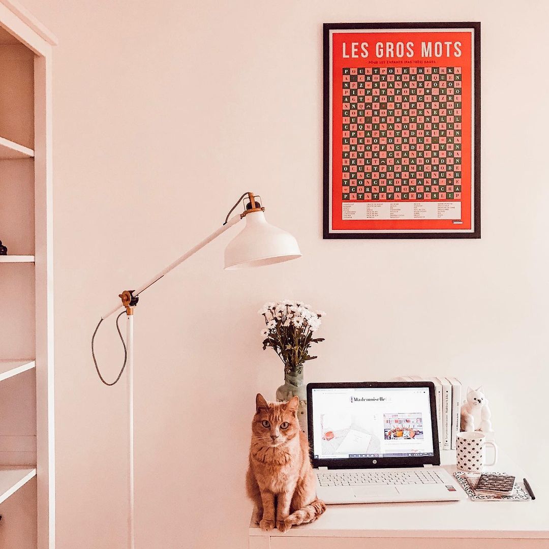 Photo by MademoiselleLit in Paris, France with @lamajoretteamoustache.