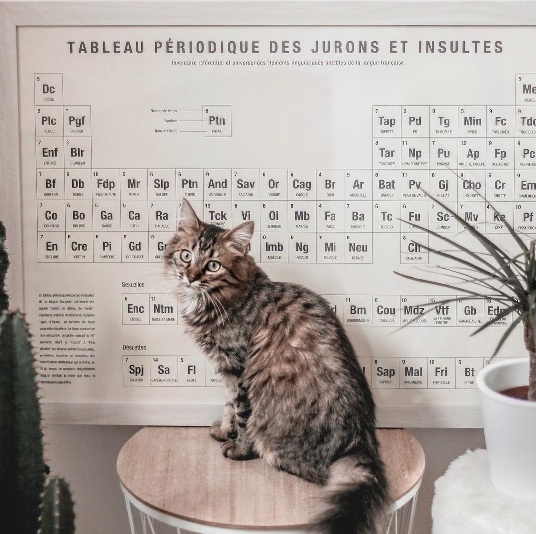 Photo shared by Anaïs 🌹 Since 2015 on October 08, 2019 tagging @hivency, and @lamajoretteamoustache. May be an image of text that says 'Dc TABLEAU PÉRIODIQUE DES JURONS ET INSULTES Inventaire éférentiel etuniversel Plc Pgf Nombreelettres Ptn Blr Me Tap Pd Fdp Mr Min Slp Ptn Co Tdo And Bo Sav Ga Cao Ca CATIN Br Ra RADASSE Ar Tck Bat Vi CRẾTIN Mb PIMBECHE Gd COURDASSE LIBRIUS Gr Cho Cr Em Ba BABACHE Tc TOCARD Sc Ng Sexuelles Mv MINABLE Neu Pf PISSE-FRO CHENAPAN Enc Ntm Désuettes Bm Cou Mdz COUILLON Spj Sa Gb Edr FI FLUTE Sap SAPRISTI 10 Mal Fri FRIPOUILL Bt BUTOR'.