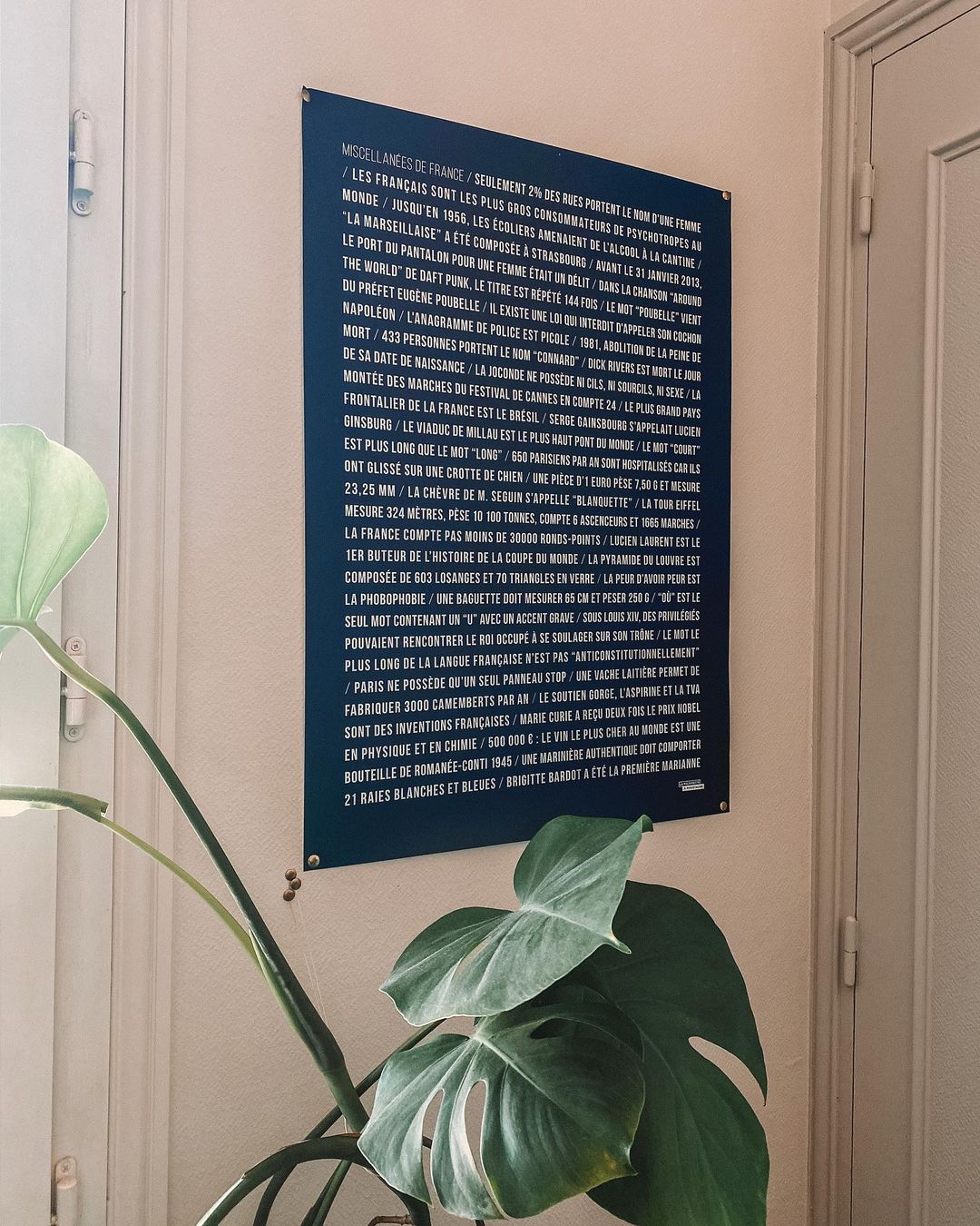 Photo by Emilie N. in Auvergne, France with @lamajoretteamoustache.