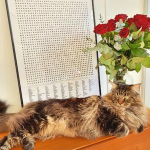 Photo by Cloé on February 16, 2019.