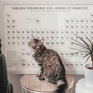 Photo shared by Anaïs 🌹 Since 2015 on October 08, 2019 tagging @hivency, and @lamajoretteamoustache. May be an image of text that says 'Dc TABLEAU PÉRIODIQUE DES JURONS ET INSULTES Inventaire éférentiel etuniversel Plc Pgf Nombreelettres Ptn Blr Me Tap Pd Fdp Mr Min Slp Ptn Co Tdo And Bo Sav Ga Cao Ca CATIN Br Ra RADASSE Ar Tck Bat Vi CRẾTIN Mb PIMBECHE Gd COURDASSE LIBRIUS Gr Cho Cr Em Ba BABACHE Tc TOCARD Sc Ng Sexuelles Mv MINABLE Neu Pf PISSE-FRO CHENAPAN Enc Ntm Désuettes Bm Cou Mdz COUILLON Spj Sa Gb Edr FI FLUTE Sap SAPRISTI 10 Mal Fri FRIPOUILL Bt BUTOR'.