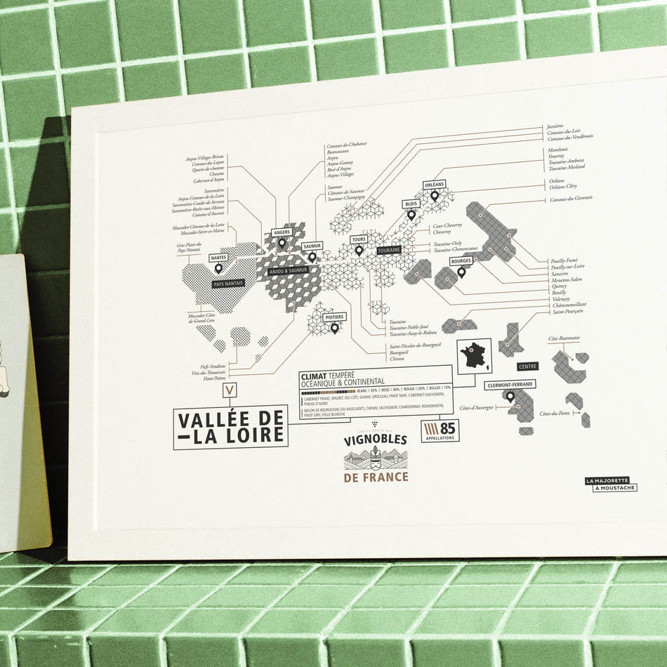 Vignoble de la Vallée de la Loire